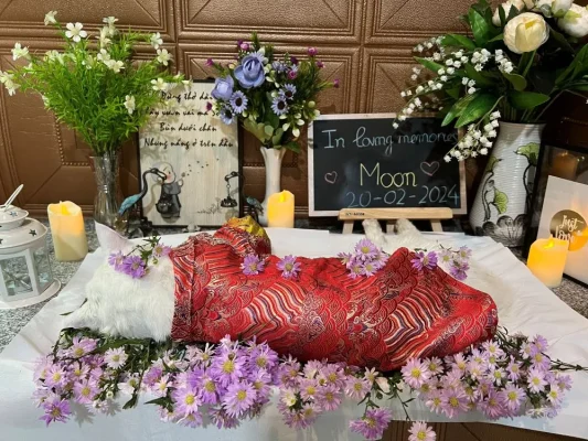 Đơn vị Hoả táng Chó Mèo là gì?